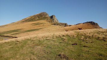 Irauko Tuturrua (1151m) mendia Irauko Lepotik