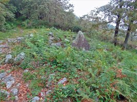 Belkoain Trikuharria