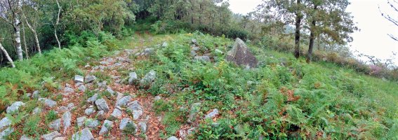 Belkoain Trikuharria