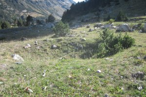 Túmulo Remuñe (Septiembre 2019)