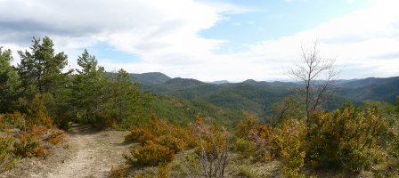 Bidea Zelaiiganako gainaldean