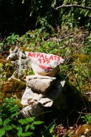 Arpalats tontoreko harripila