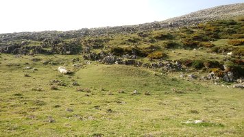 Pontoa I (Urrusti) etxola-hondoa 2