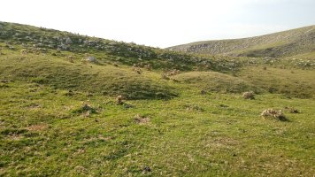 Pontoa III eta IV (Urrusti) etxola-hondoak