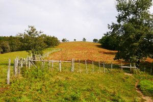 Hegoaldeko lepotik ikusita