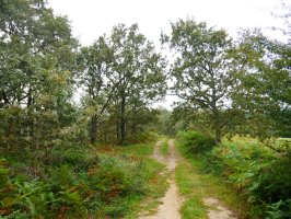 Igoerako pasarte bat