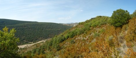 Belorizko hegietan gora