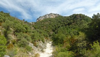 Ososki, Santa Kolonbatik