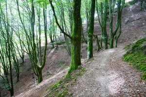 Illasmendi, GR bidea IEko hegitik