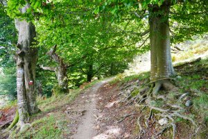 GR bidea Illasmendiko Iparraldeko hegian