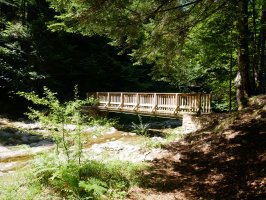 Zurezko zubi ederra Idorra errekaren gainean, Irati.