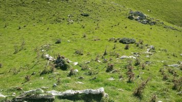 Pistako harrespila (2019)