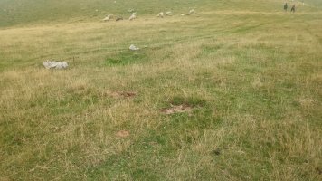 Millagaateko harrespila V