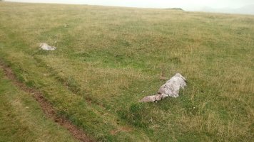 Millagaateko harrespila IV