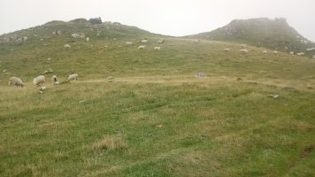 Millagaateko harrespila I 4