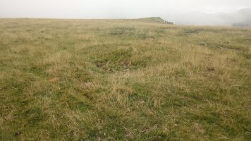 Millagaateko tumuloa 2