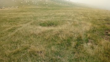 Millagaateko tumuloa (2019)