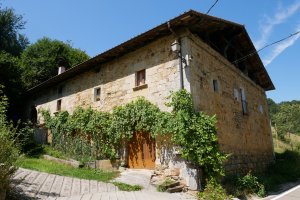 Mitxelusarrenea etxea, Intza