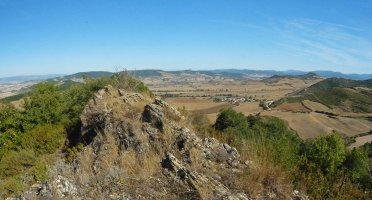 Iparraldeko gandorra