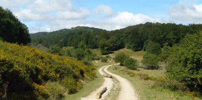 Otansur, Atako ibarretik