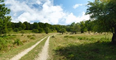 Otansurko bidea, Atan barrena