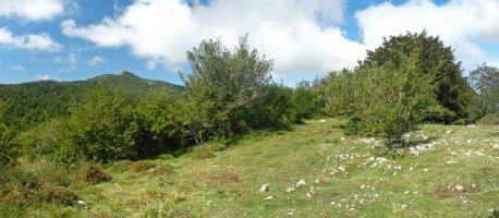 Gainaldeko argigune bat