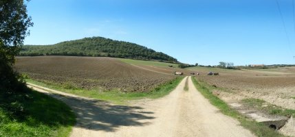 Basotxo, Monasterioguren inguruko soroetatik