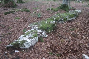 Monolito Artzeiturrieta  (Septiembre 2019)