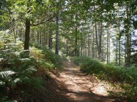 Las Rigadas eta La Brena arteko bidea
