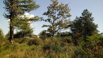 Motto (887m) tontorra