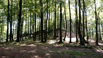 Kipular (1065m) gaina