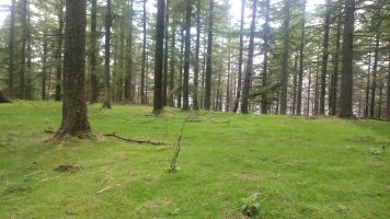 Azalditza (789m) gaina