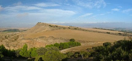 Cruzate gaina Jenariztik