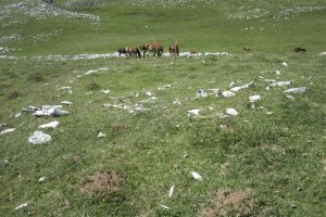 Túmulo Arraska nº 12  (Agosto 2017)