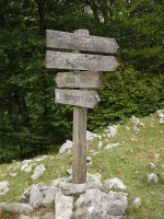 Seinalea Atxulotik gertu