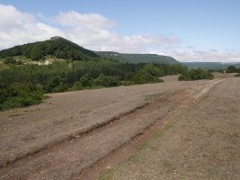 Mandabide lepotik gertu