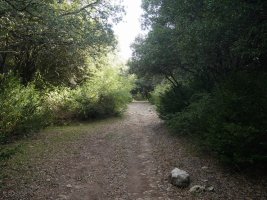 Ibilbideko pasarte bat