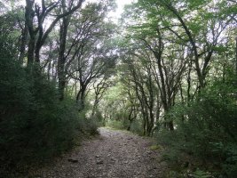 Ibilbideko pasarte bat