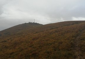 Tontorra, bidexkatik