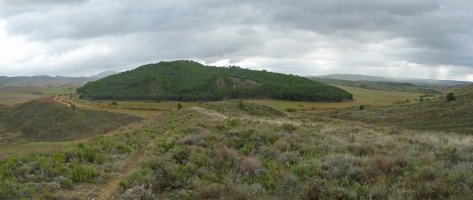 Raicilla mendia, Lombastik