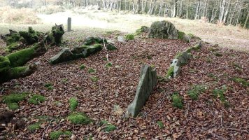 Arramiako Lepoa trikuharria