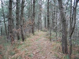 Gurutzea, Bordatxoko bizkarrean