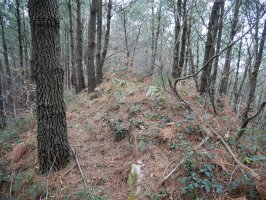 Txartelontzi berriaren tontorra