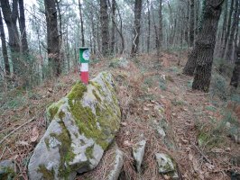 Txartelontzi berriaren tontorra