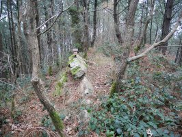 Txartelontzi zaharra mendebalderago dago