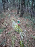 Txartelontzi berria, Bordatxo