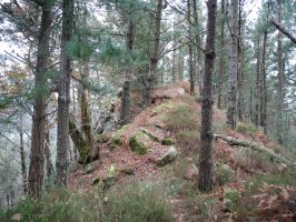 Mendebaldeko gandorreko pasarte bat