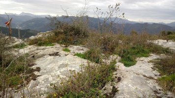Garaluz (575m) tontorra
