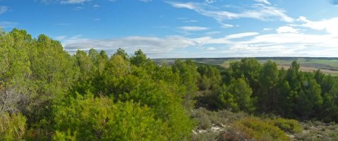 Ikuspegi zabalak gailurretik