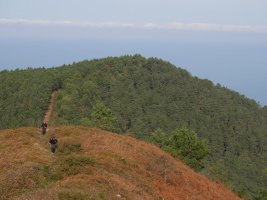 Jata Txikia Jata Nagusitik ikusita